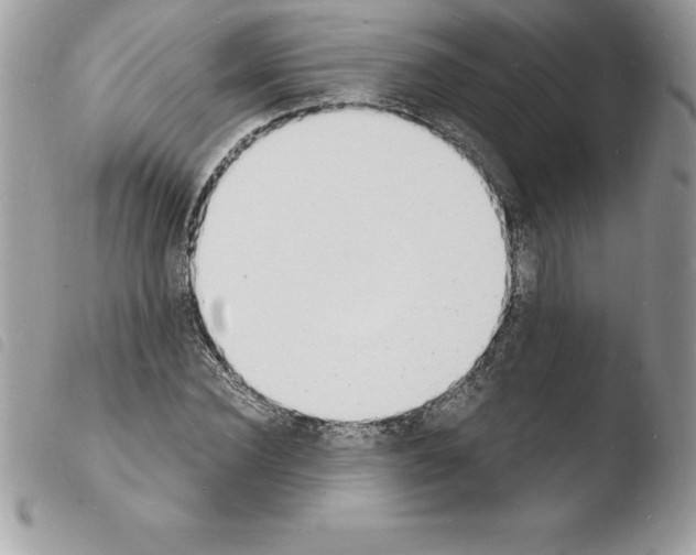 X0000103970924200810171921
