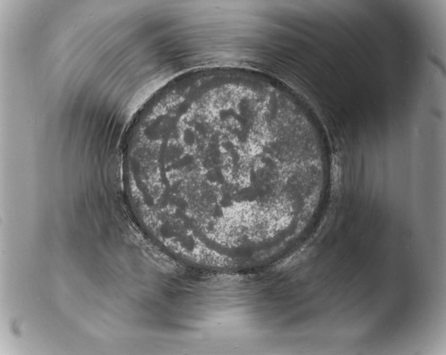 X0000103970925200810171921