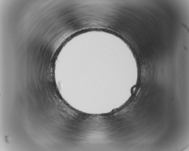 X0000103970926200810171921