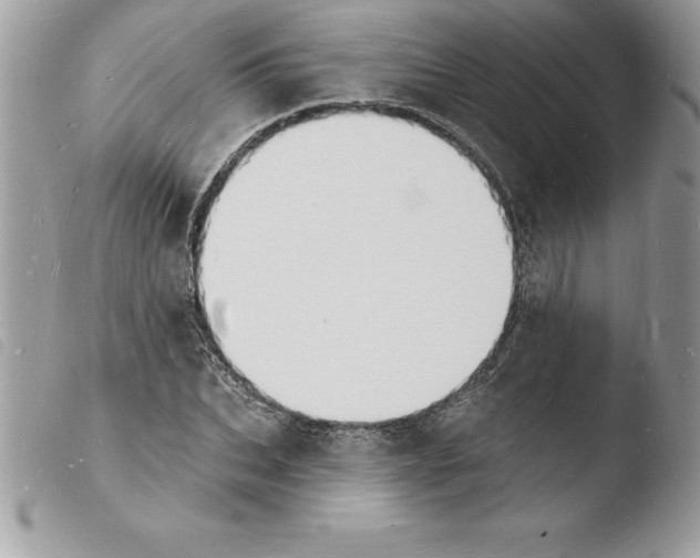 X0000103970927200810171921