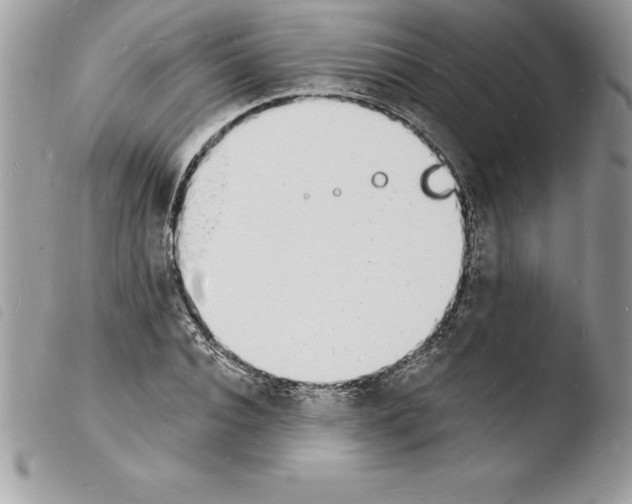 X0000103970928200810171921