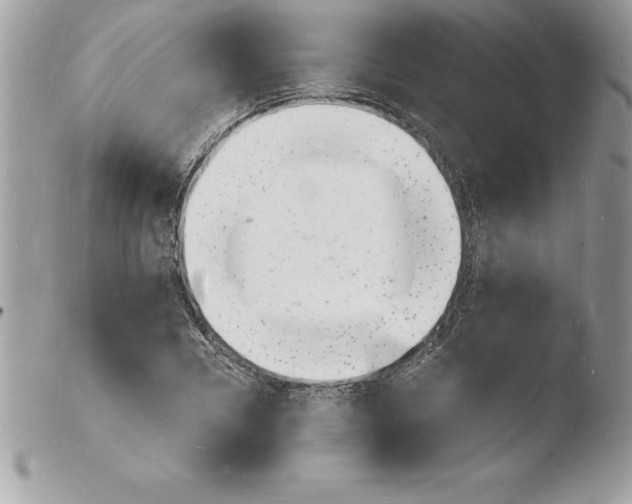 X0000103970930200810171921