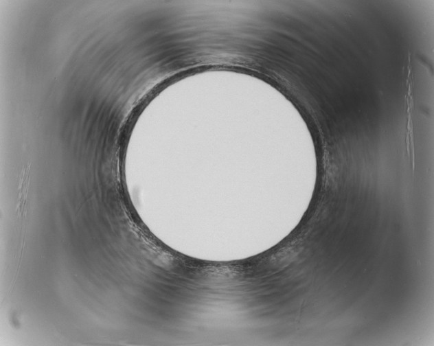 X0000103970931200810171921