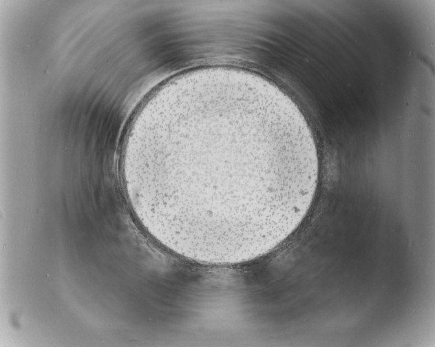 X0000103970932200810171921