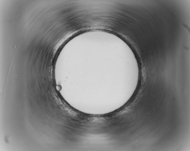 X0000103970933200810171921