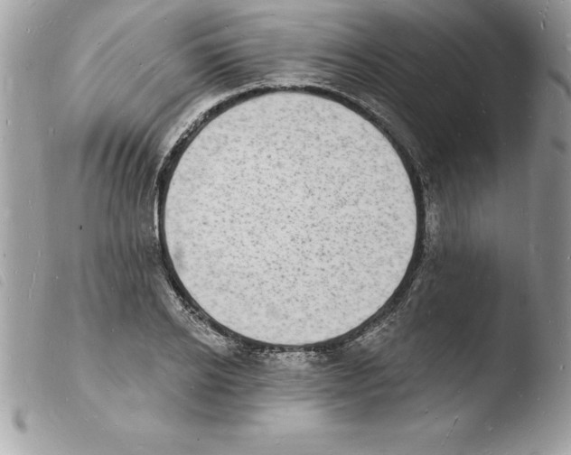 X0000103970934200810171921