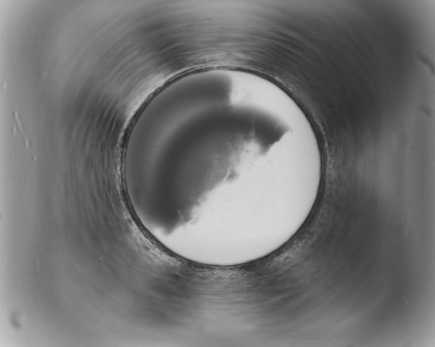 X0000103970941200810171921