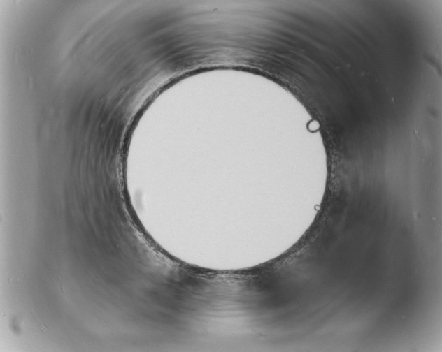 X0000103970942200810171921