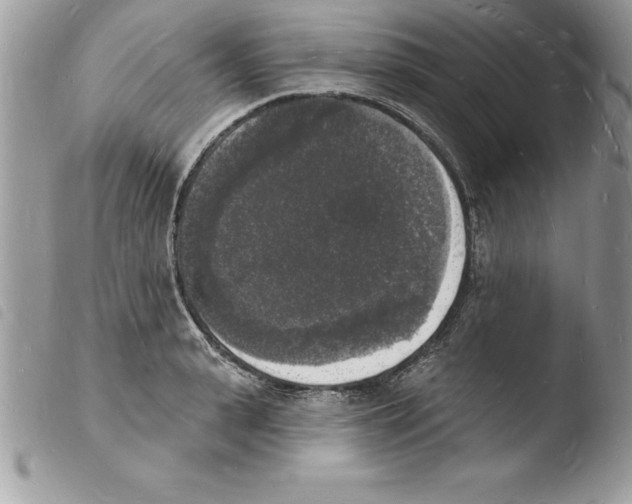 X0000103970943200810171921