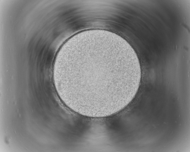 X0000103970944200810171921