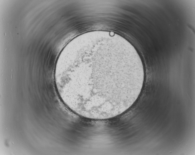 X0000103970946200810171921