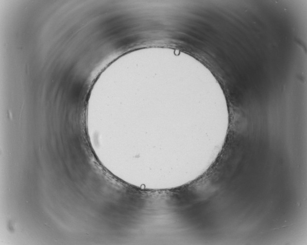 X0000103970952200810171921