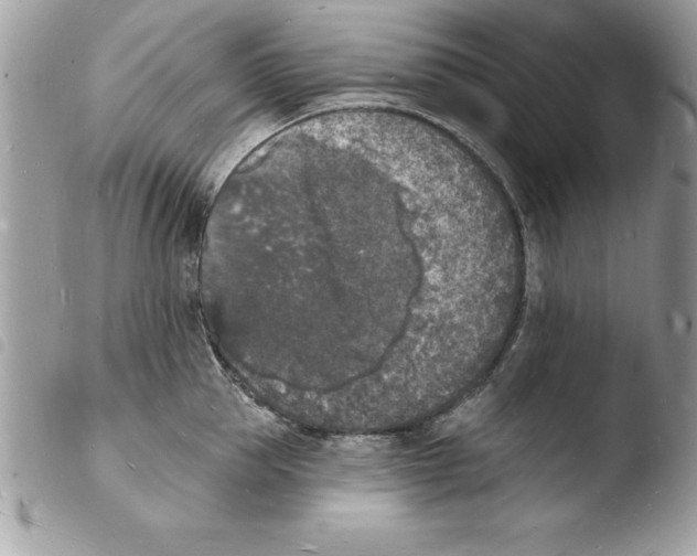 X0000103970953200810171921