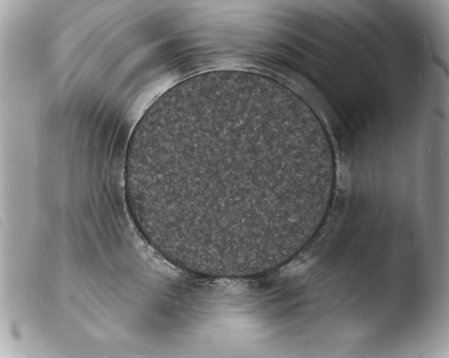 X0000103970954200810171921