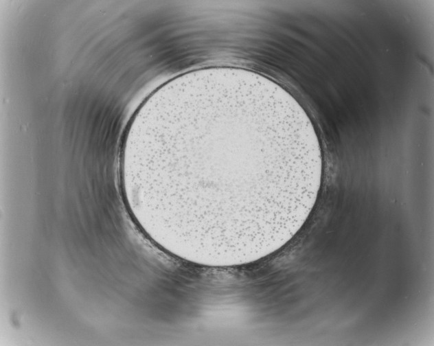 X0000103970955200810171921