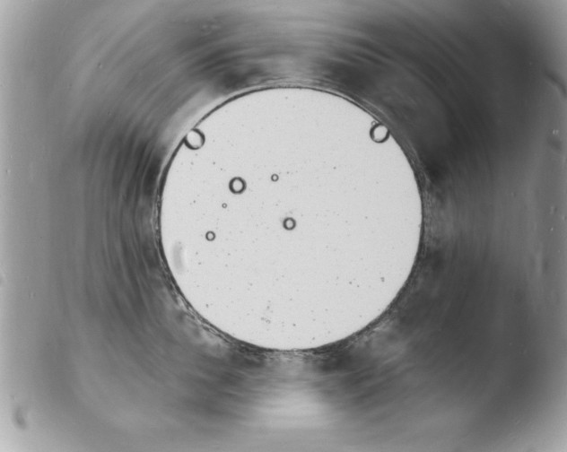 X0000103970956200810171921