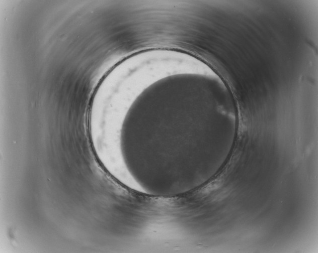 X0000103970958200810171921