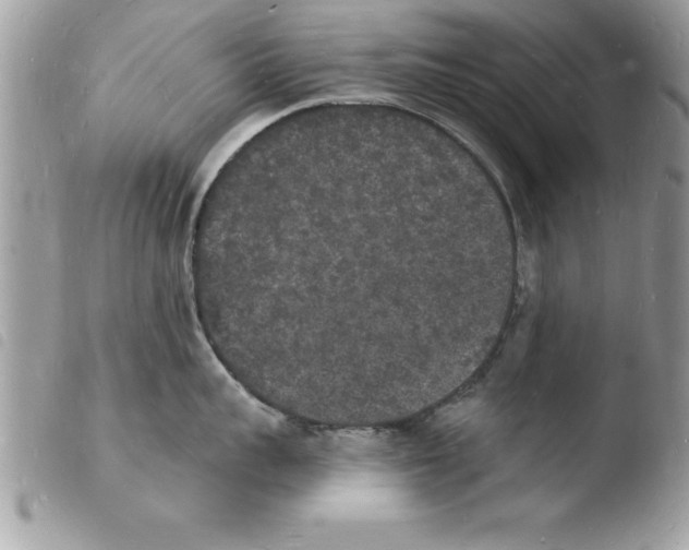 X0000103970959200810171921