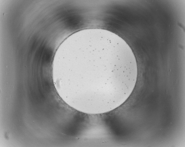 X0000103970960200810171921