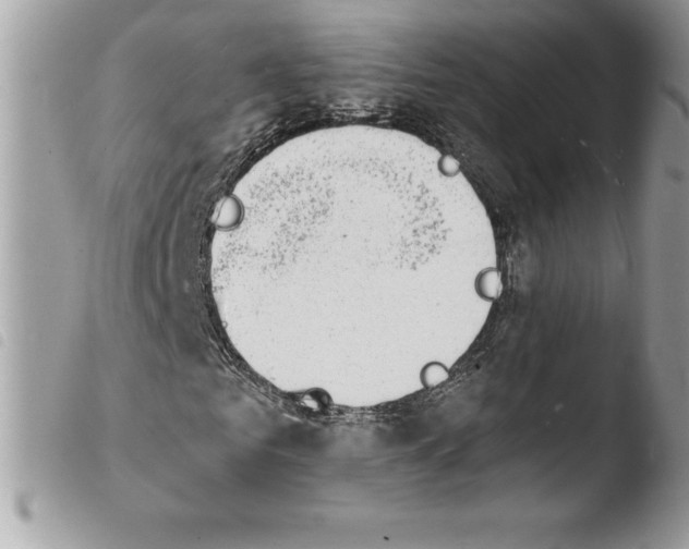X0000103970961200810171921