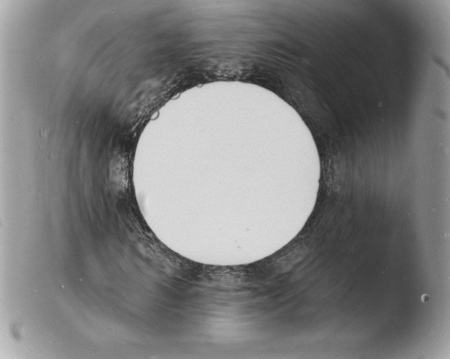 X0000103970962200810171921