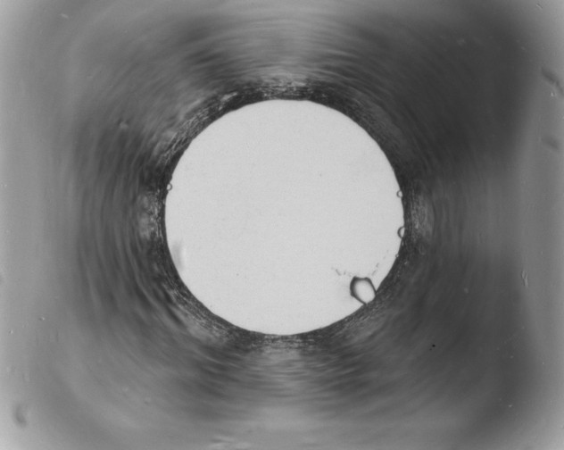 X0000103970964200810171921