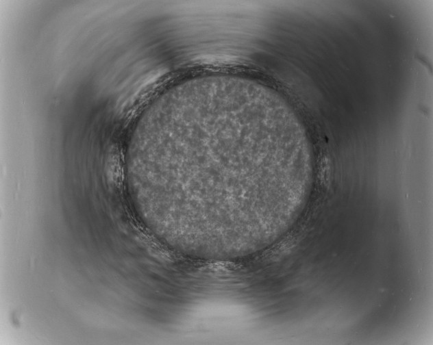 X0000103970966200810171921