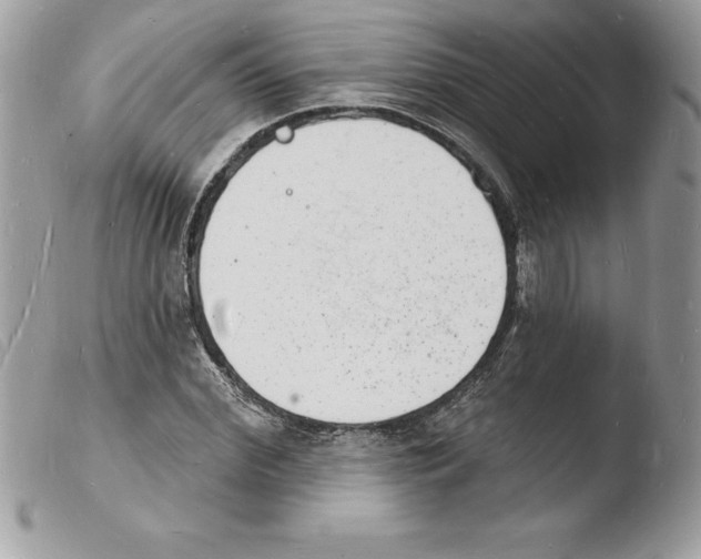 X0000103970972200810171920