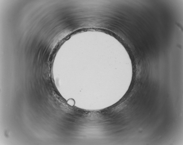 X0000103970974200810171920