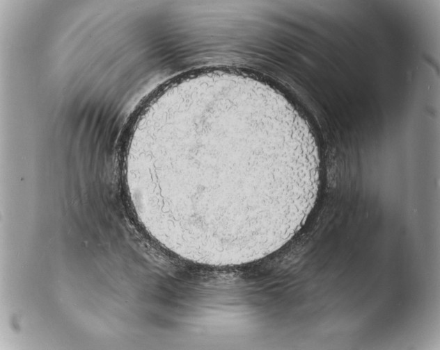 X0000103970975200810171920
