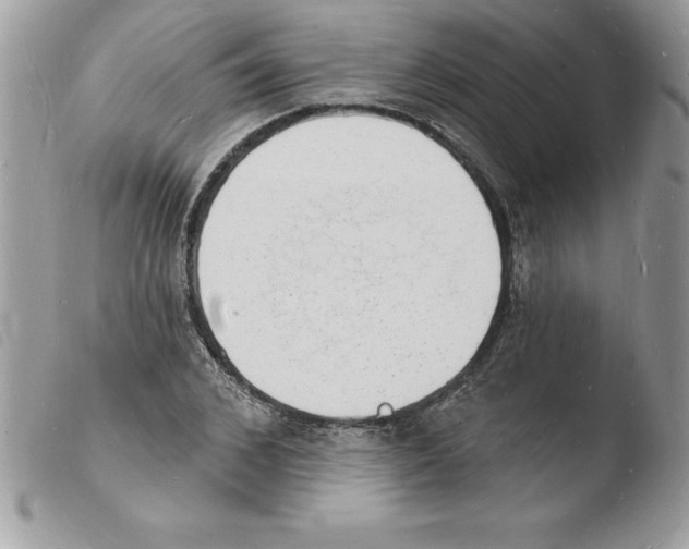 X0000103970976200810171920