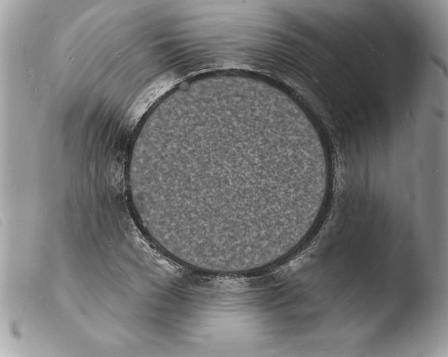 X0000103970977200810171920