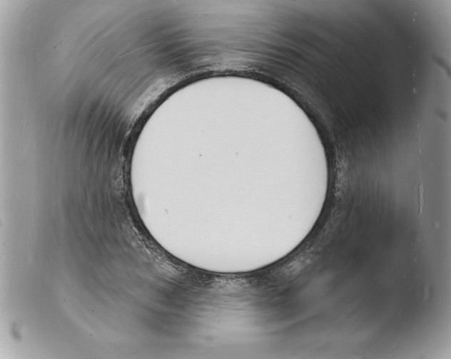 X0000103970978200810171920