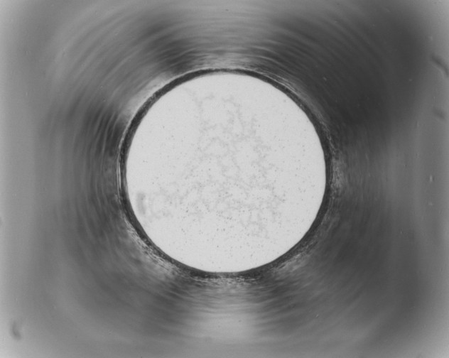 X0000103970980200810171920
