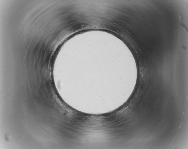 X0000103970981200810171920