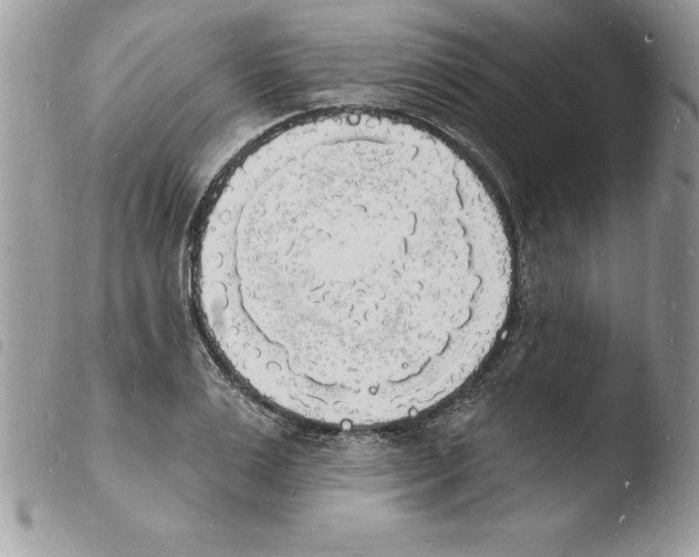 X0000103970983200810171920