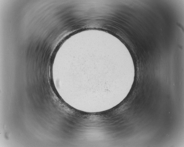 X0000103970984200810171920