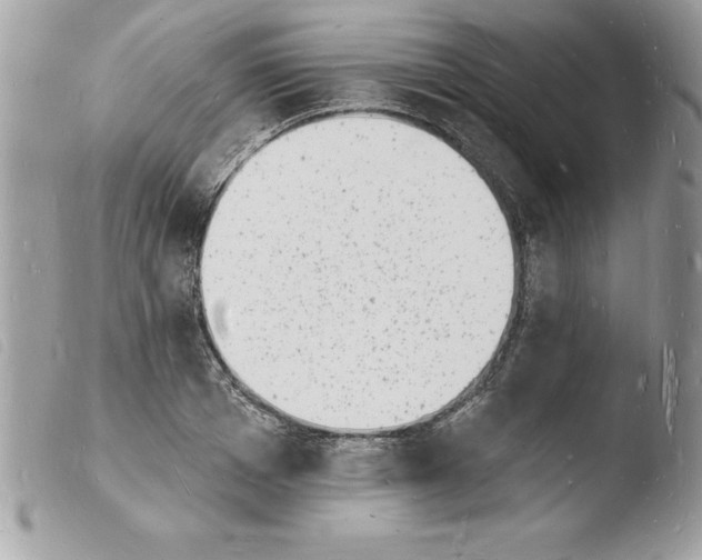 X0000103970985200810171920