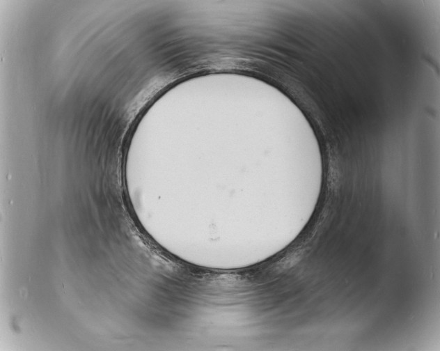 X0000103970986200810171920