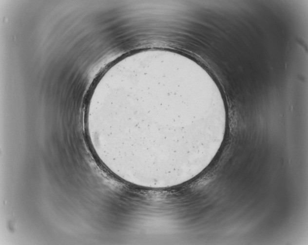 X0000103970987200810171920