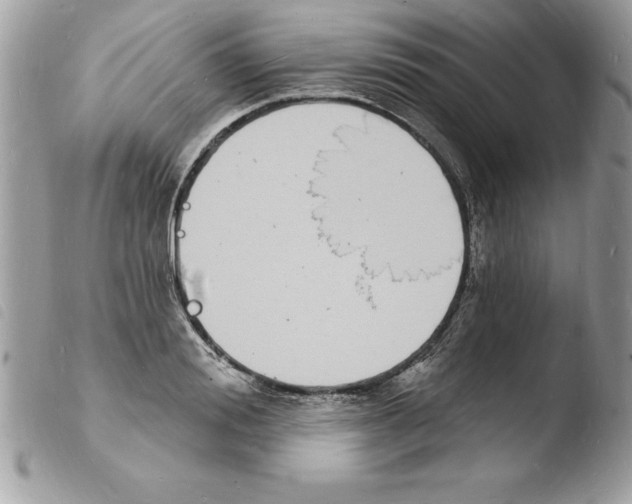 X0000103970988200810171920