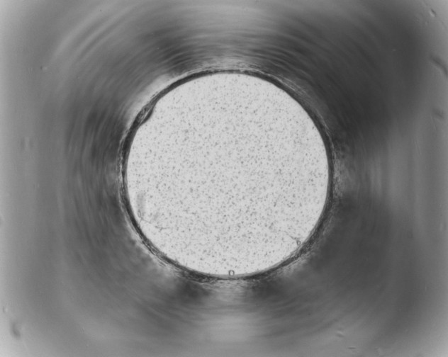 X0000103970989200810171920