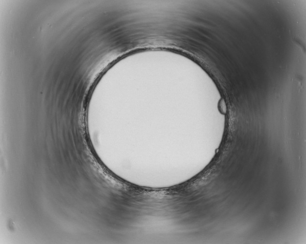 X0000103970990200810171920
