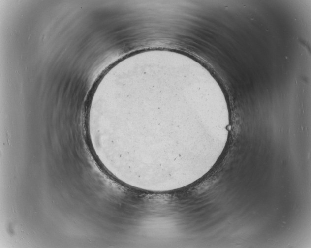 X0000103970991200810171920