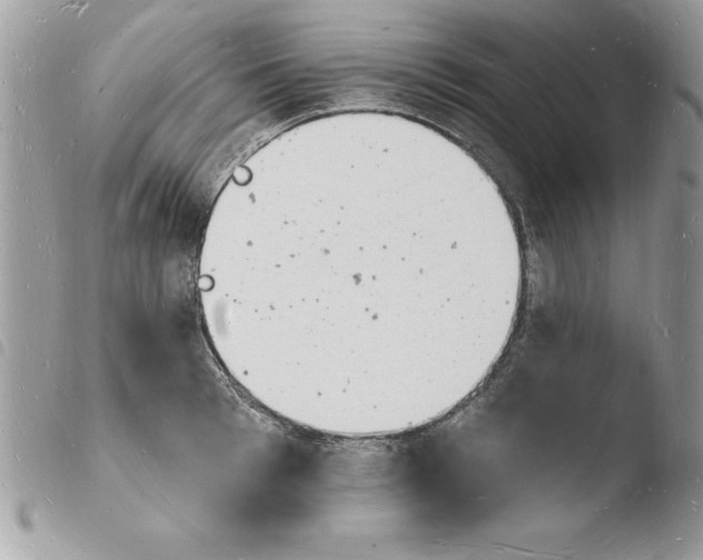 X0000103970993200810171920