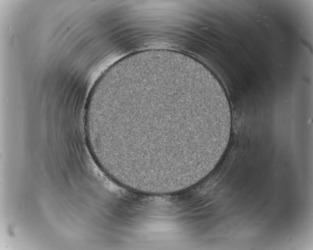 X0000103970995200810171920