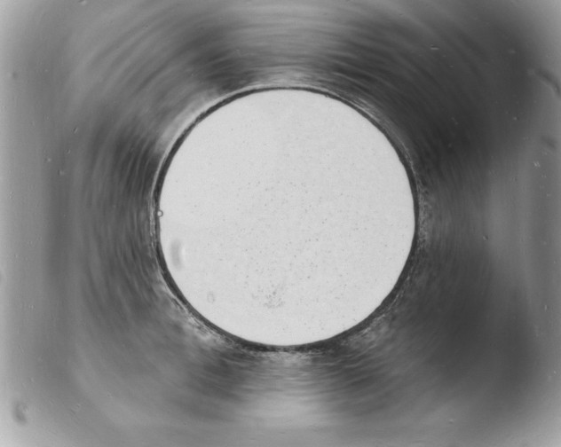 X0000103970996200810171920
