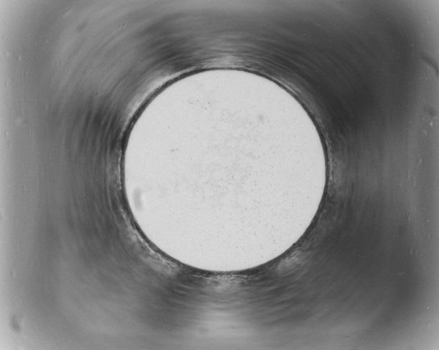 X0000103971000200810171920