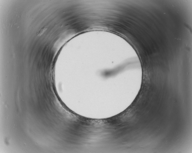 X0000103971003200810171920