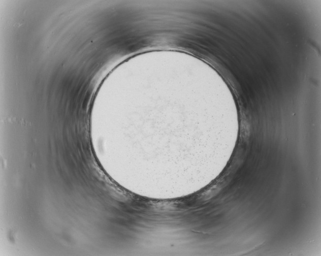 X0000103971004200810171920